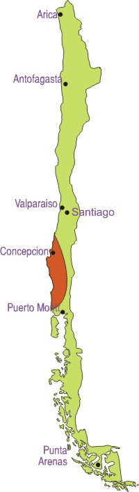 Corrosion in Chile as estimated from atmospheric corrosivity monitoring