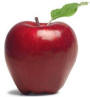 Virtual teacher apple