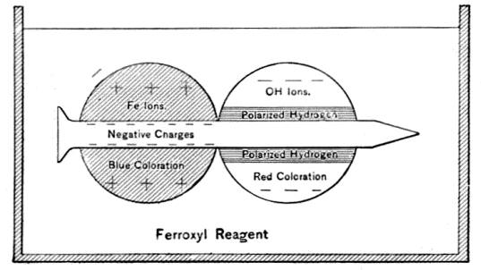 Diagrammatic explanation of action in ferroxyl indicator