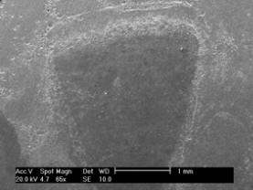 Close-up view with a scanning electron microscope showing the shallow groove made by corrosion attack of the steel