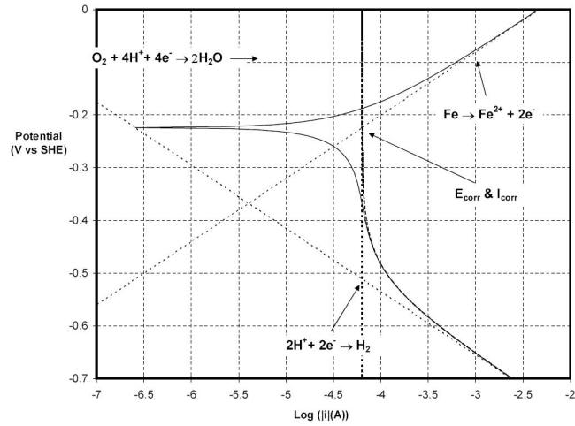 Polarization behavior of carbon steel in an agitated aerated solution maintained at 25oC and a pH of five